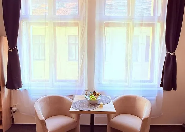 Nove Utulne V Srdci Mesta Daire Plzeň