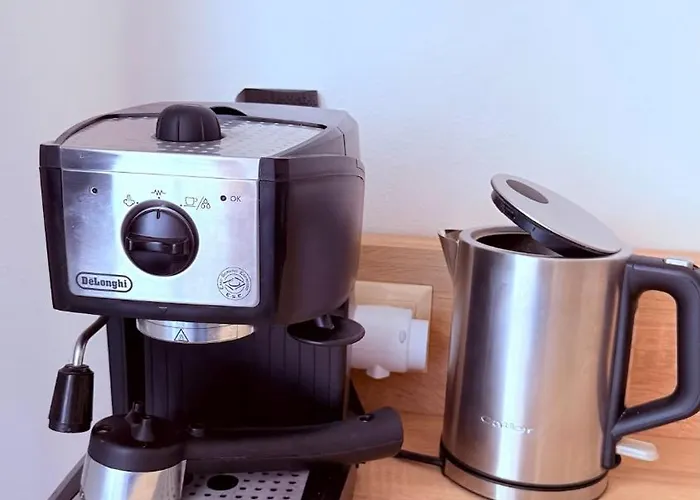 Nove Utulne V Srdci Mesta *