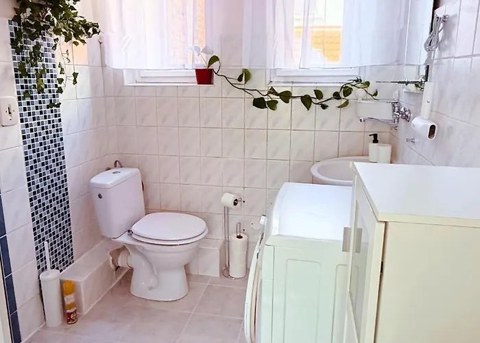 Nove Utulne V Srdci Mesta